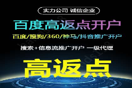 某某SEM服务公司如何帮助企业实现ROI最大化